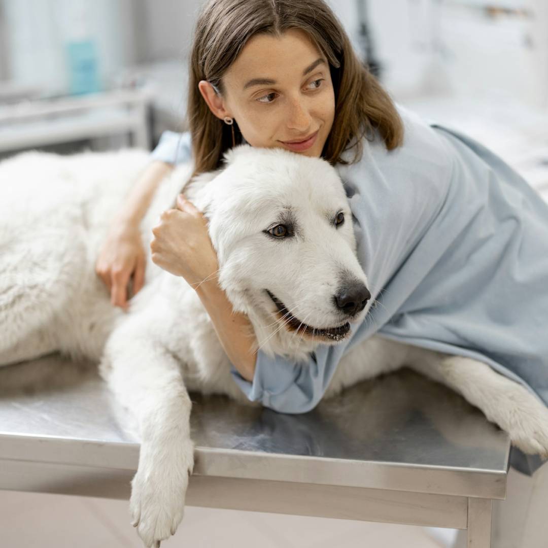 girl holding the pet on table